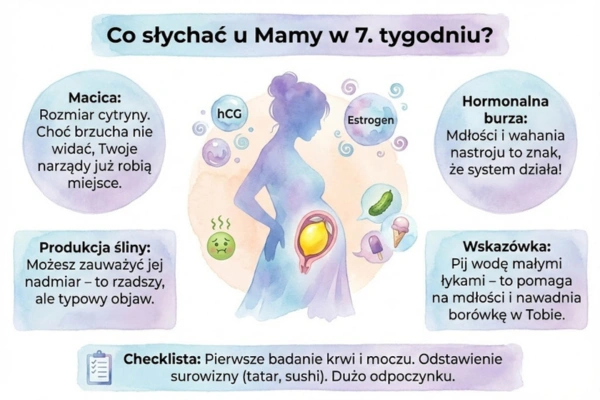 7 tydzień ciąży — ciało mamy i zmiany hormonalne